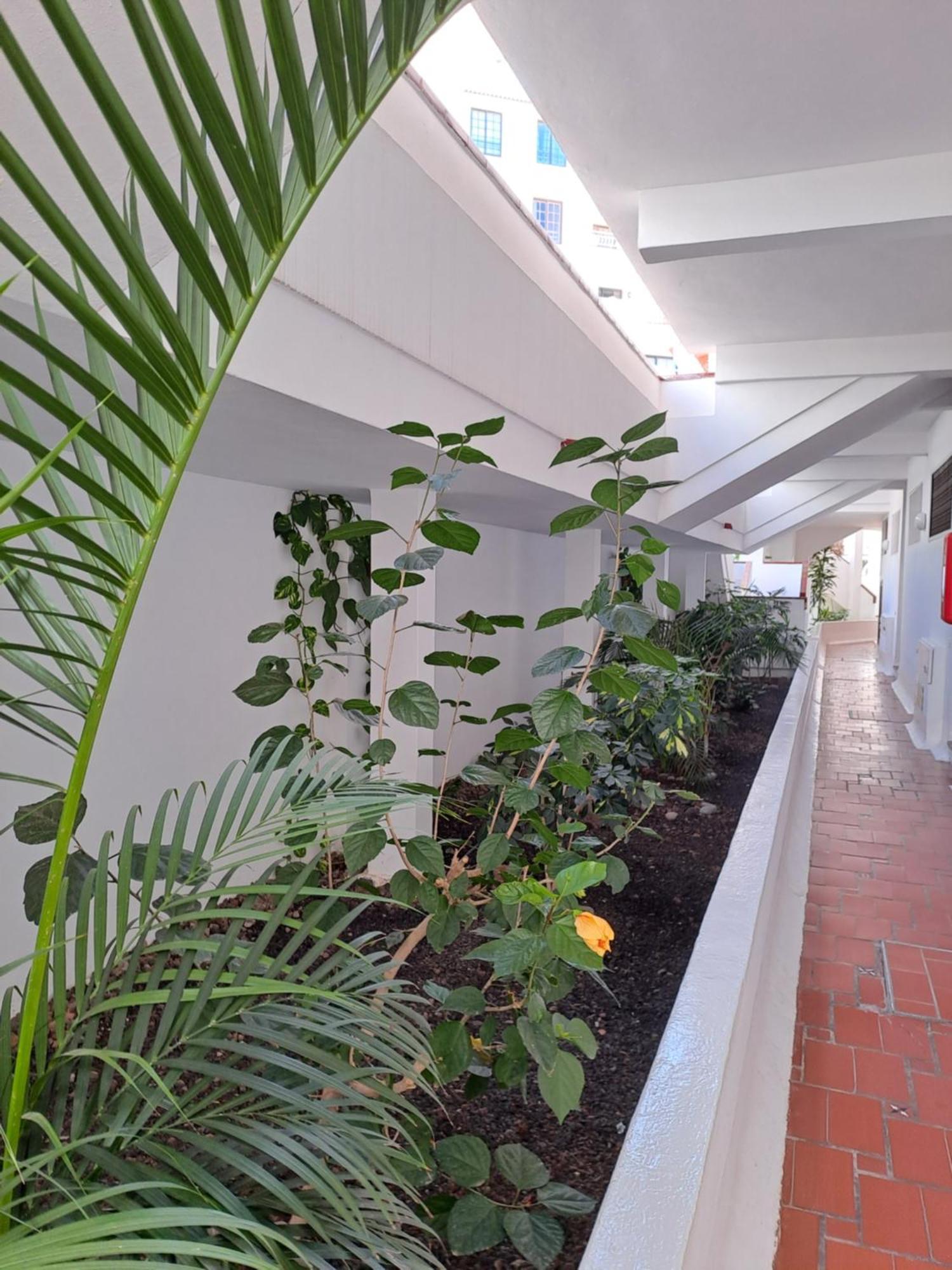 Ancora Home, Los Diamantes, Tenerife ลอส กริสเตียนอส ภายนอก รูปภาพ